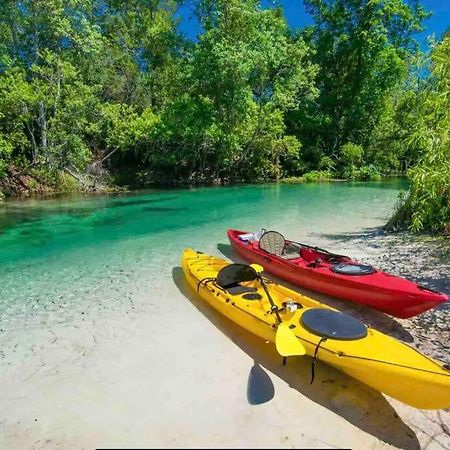 Manatee Oasis Weeki Wachee Family Fun Pool Home สปริงฮิลล์ ภายนอก รูปภาพ