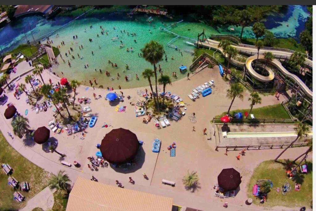 Manatee Oasis Weeki Wachee Family Fun Pool Home สปริงฮิลล์ ภายนอก รูปภาพ