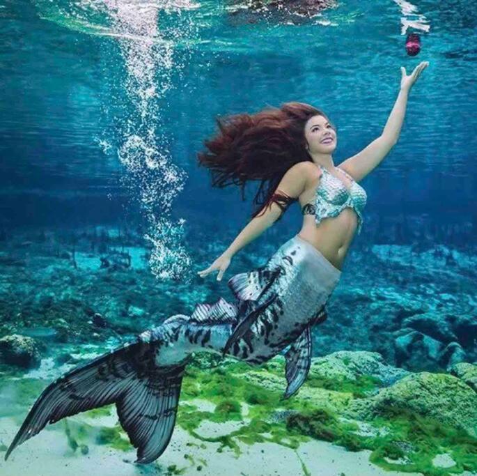 Manatee Oasis Weeki Wachee Family Fun Pool Home สปริงฮิลล์ ภายนอก รูปภาพ