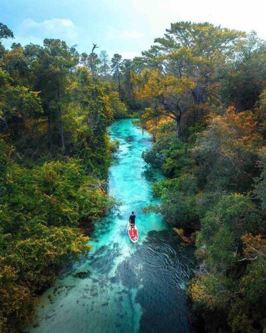 Manatee Oasis Weeki Wachee Family Fun Pool Home สปริงฮิลล์ ภายนอก รูปภาพ